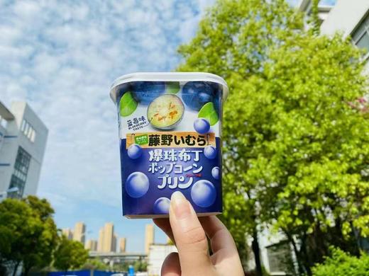 藤野布丁蓝莓味 商品图0