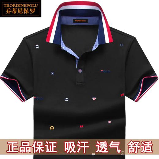 TZW-保罗短袖T恤男士POLO衫商务休闲刺绣上衣 商品图3