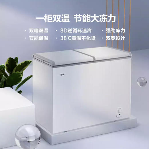 海尔（Haier）冷柜FCD-219LH00W0 商品图1