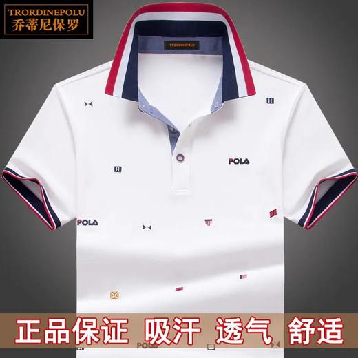 TZW-保罗短袖T恤男士POLO衫商务休闲刺绣上衣 商品图1