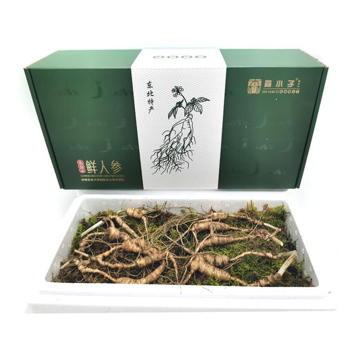 长白山15年新鲜野山参10支礼盒装 商品图2