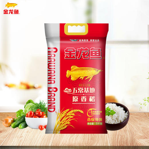 金龙鱼五常基地原香稻大米5kg/袋 商品图0