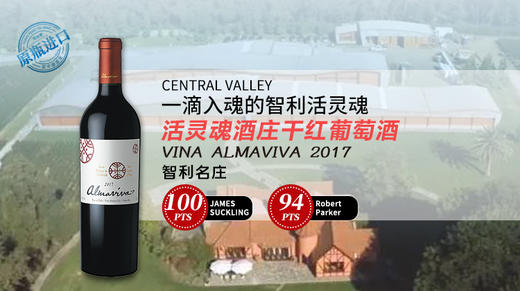 智利-活灵魂酒庄干红葡萄酒2021 商品图1