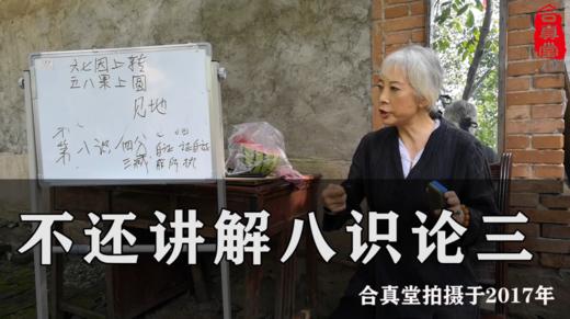 女隐士讲解八识论 三 商品图0