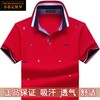 TZW-保罗短袖T恤男士POLO衫商务休闲刺绣上衣 商品缩略图2