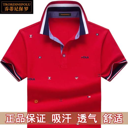 TZW-保罗短袖T恤男士POLO衫商务休闲刺绣上衣 商品图2