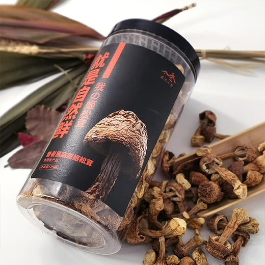 高原姬松茸 175g 商品图2
