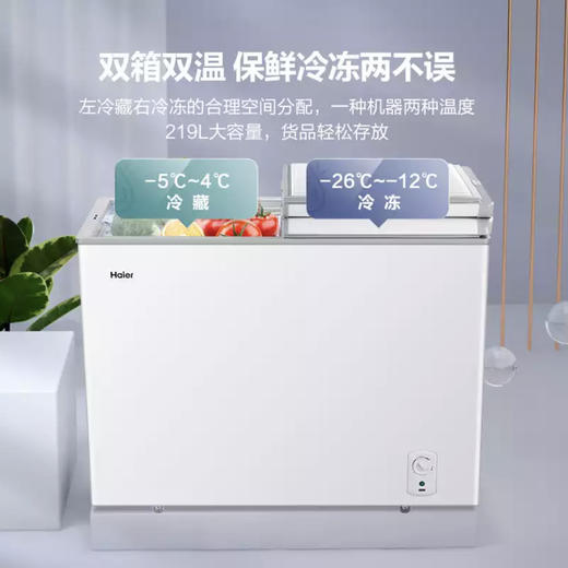 海尔（Haier）冷柜FCD-219LH00W0 商品图2