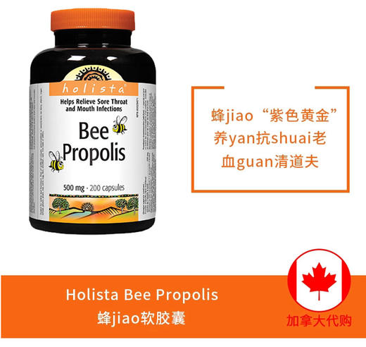 Holista Bee Propolis天然黑蜂胶囊500mg*200粒 美国代购，无中文标签，介意慎拍 商品图4