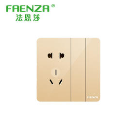 法恩莎 面板 Q11系列 金色 二开五孔