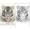 竖幅工笔动物白描底稿-刘继彪-老虎头-A632 商品缩略图0