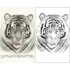 竖幅工笔动物白描底稿-刘继彪-老虎头-A632