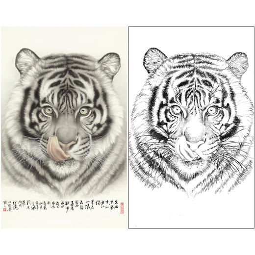 竖幅工笔动物白描底稿-刘继彪-老虎头-A632 商品图0