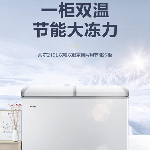 海尔（Haier）冷柜FCD-219LH00W0 商品图5