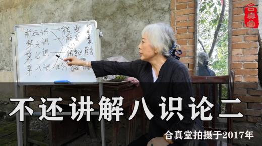 女隐士讲解八识论 二 商品图0