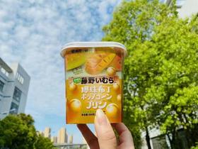 藤野布丁芒果味