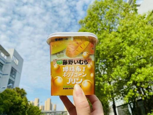 藤野布丁芒果味 商品图0