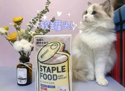 布兰德猫软罐头理想主食包 商品图1
