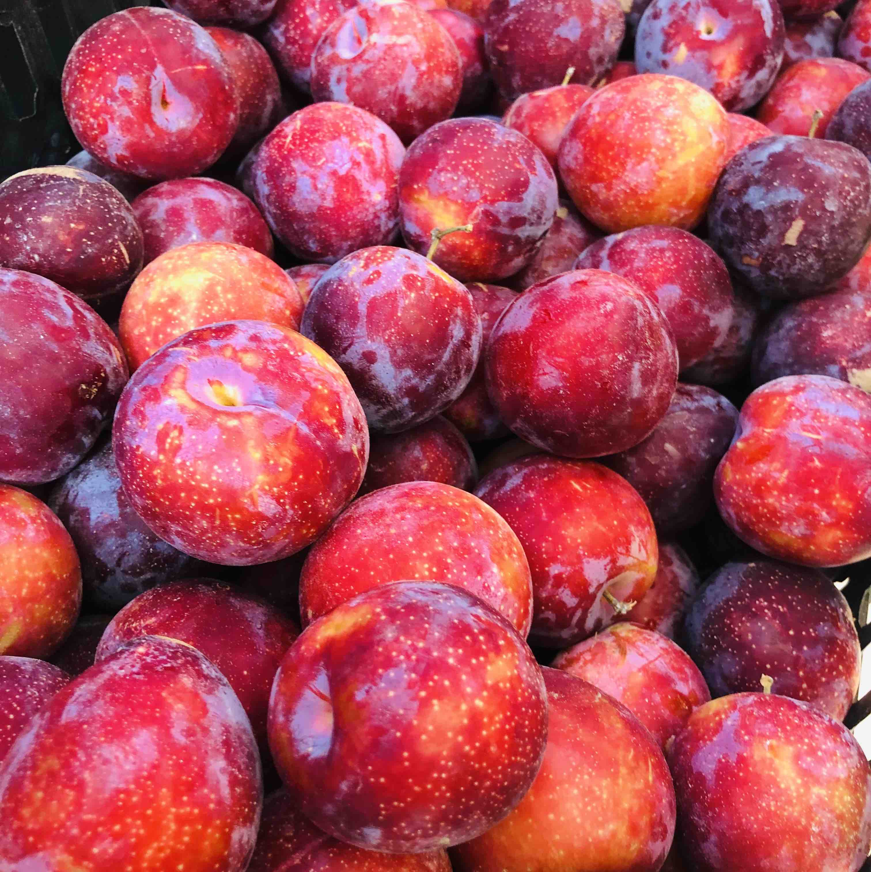 甜蜜珠宝李珍味十足口感很棒甜到没朋友皮略有酸味可削皮吃超棒