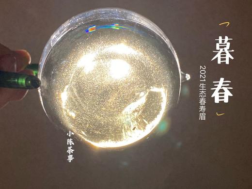 只对会员专供的2021有机春寿眉《暮春》来了，生态有机茶的品质，普通春寿眉的价格 商品图7