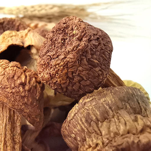 高原姬松茸 175g 商品图1