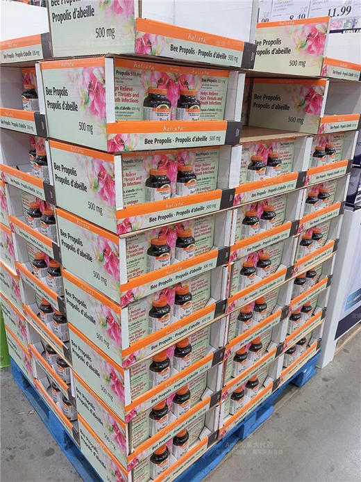 Holista Bee Propolis天然黑蜂胶囊500mg*200粒 美国代购，无中文标签，介意慎拍 商品图8