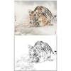 工笔动物白描底稿-刘继彪-双虎-斗方小品册页-A634 商品缩略图0