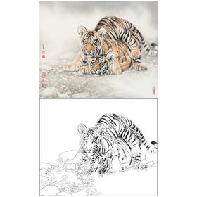 工笔动物白描底稿-刘继彪-双虎-斗方小品册页-A634