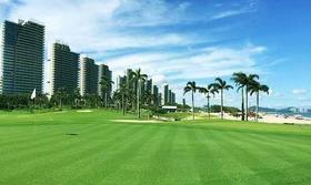 入住海陵岛新开公寓或保利别墅或皇冠假日酒店，保利阳江高尔夫1球1晚850元起，2球1晚1280元起，使用期至2024年6月30号有效！