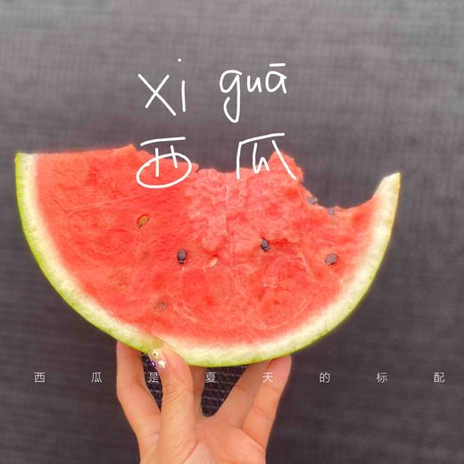 【南汇8424】南汇8424西瓜，黑籽麒麟瓜，新鲜瓜藤，瓜瓤脆甜，值得一试的好瓜！ 商品图3