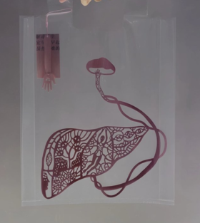 纸做的商店 -《祝您健康》- 肝