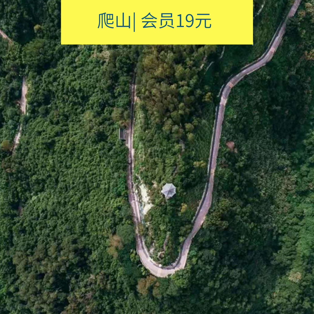 （已成行，余3位）5.12周日下午塘朗山登顶极目远眺，看野生猴子，深圳交友活动（深圳)