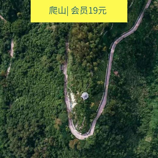 5.12周日下午塘朗山登顶极目远眺，看野生猴子交友活动（深圳) 商品图0
