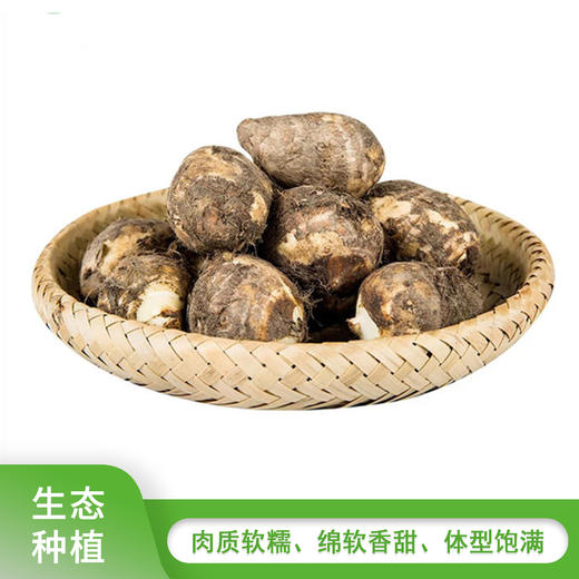 如皋香堂芋奶450g-500g 商品图0