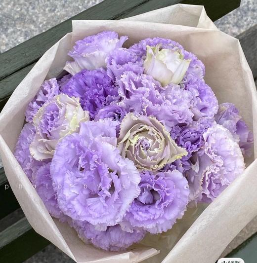 ycpp洋桔梗波浪浅紫06kg左右