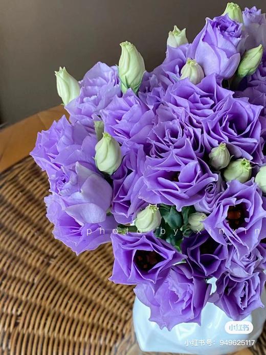 【l】cx-立深洋桔梗 浅紫色 露华 b级【2】 商品图4