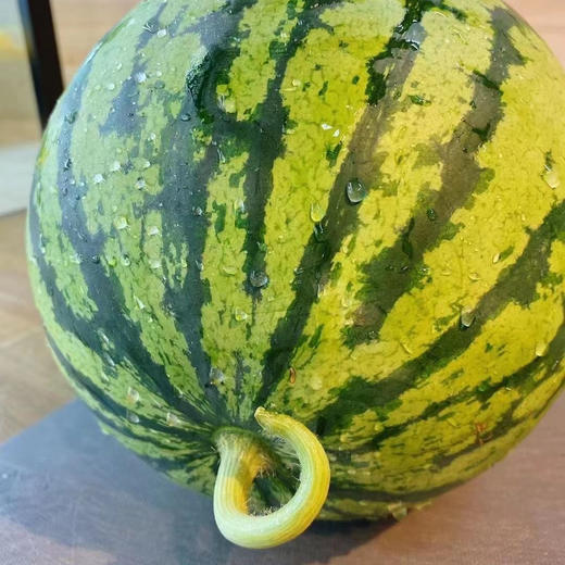 【南汇8424】南汇8424西瓜，黑籽麒麟瓜，新鲜瓜藤，瓜瓤脆甜，值得一试的好瓜！ 商品图2