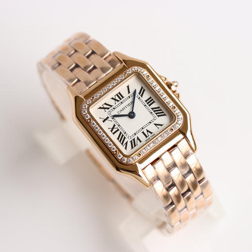 GF卡地亚猎豹系列 Panthère de Cartier华丽而不羁 中号 商品图1