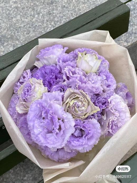 ycpp洋桔梗波浪浅紫06kg左右