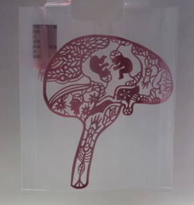 纸做的商店 -《祝您健康》- 大脑