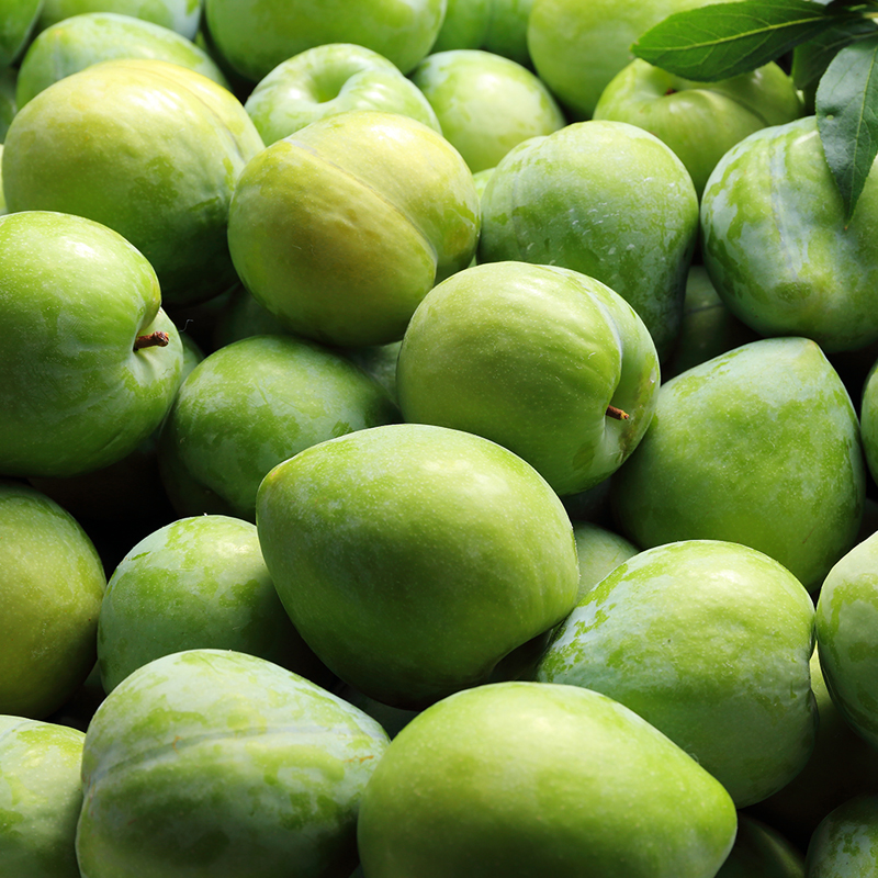 冰糖李大果李子脆甜多汁