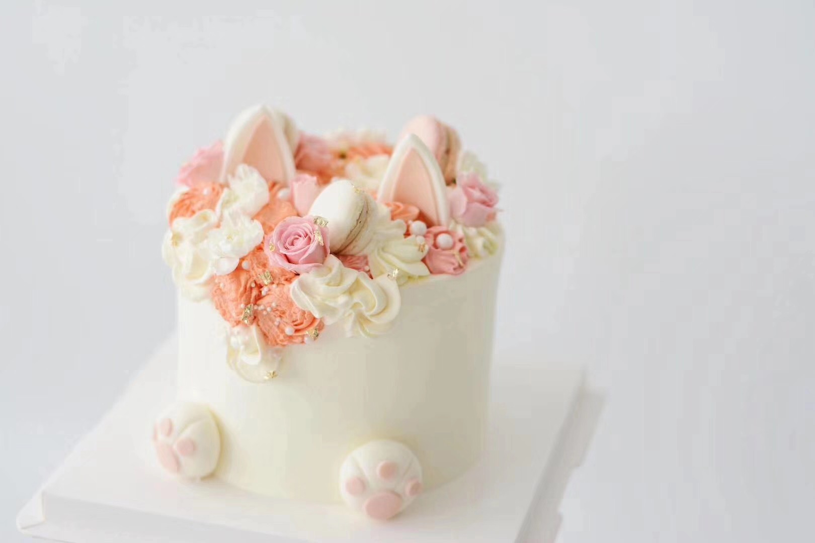 可可爱爱猫耳朵