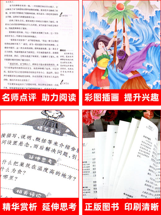 全套4册中国民间故事五年级上册课外书必读老师推荐欧洲非洲古代小学生阅读书籍快乐读书吧5上学期语文集田螺姑娘列那狐的暑假指定 商品图3