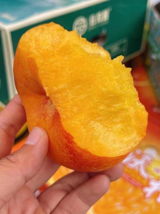 【云南coco黄金蟠桃】12头/箱，甜蜜多汁 商品图4