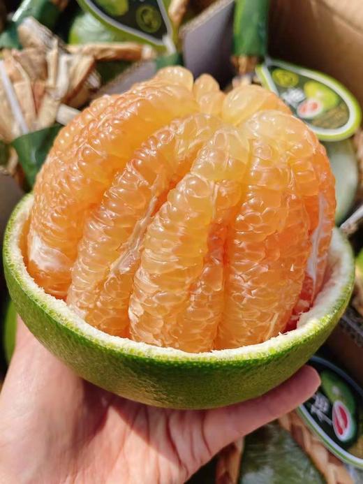 【泰国麻绳翡翠柚】汁多肉嫩、脆甜可口 商品图4