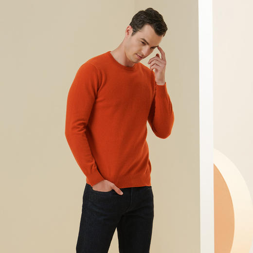 METTE羊绒世家2021年秋冬男士100%羊绒衫圆领打底毛衣保暖针织衫 商品图3