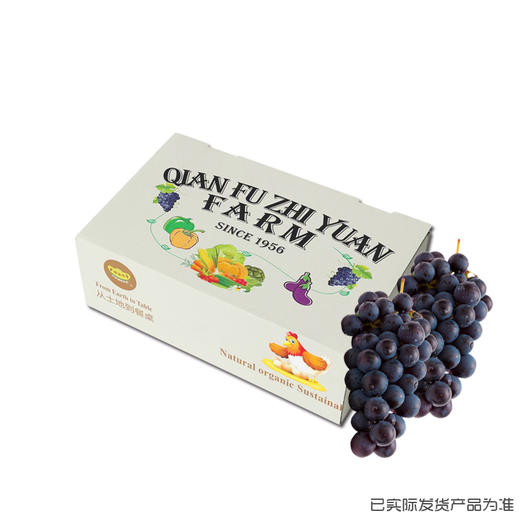 认养三棵葡萄树（5年） 商品图3