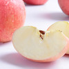 佳沃 山东富士5斤装（约15粒）    新鲜当季水果整箱包邮 商品缩略图4