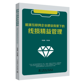 能源互联网企业建设背景下的线损精益管理