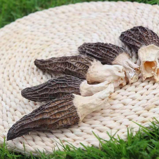 羊肚菌干货云南特产羊肚菇羊肚菌菇包干羊肚蘑菌类煲汤料 商品图4